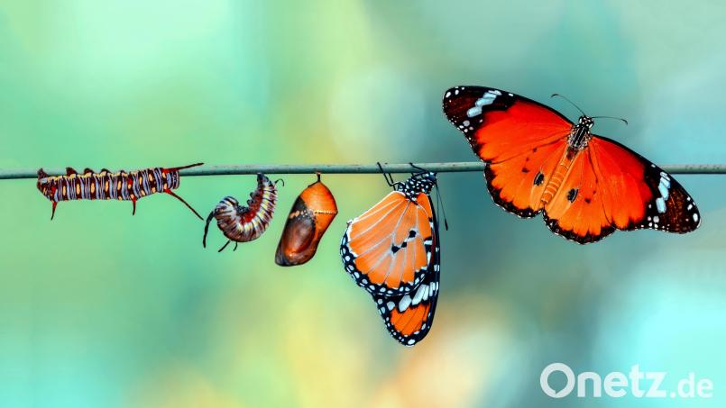 Nichts bleibt wie es war: Wer Karriere machen will, muss sich die Freude auf Neues erhalten. Bild: blackdiamond67 - stock.adobe.com