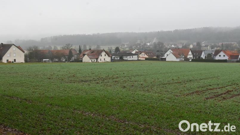 Im Baugebiet Auf der Leite II nordöstlich von Speckshof in der Gemeinde Poppenricht sollen mehr als 25.000 Quadratmeter Bauland für Ein- oder Zweifamilienhäuser erschlossen werden. Bild: gf