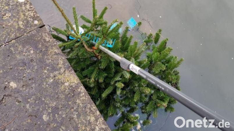 Feuerwehrmann Armin Haak fischte einige Bäume in seiner Freizeit mit einem Teleskop-Arm aus der Vils. Bild: Armin Haak