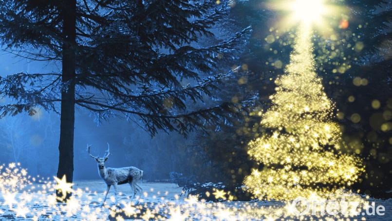 Wenn Märchen erzählt werden, wird es magisch. Symbolbild: TeamDaf – stock.adobe.com