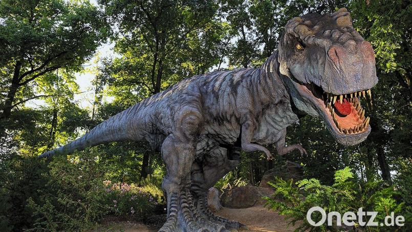 So schnell haut einen Dino nichts um. Offenbar noch nicht mal ein spektakulärer Verkehrsunfall wie am Dienstagmorgen bei Altenstadt/WN. Symbolbild: cr