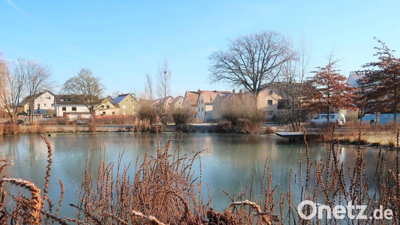 Seit 17 Jahren gibt es wieder einen Schnellweiher, wenn auch in kleinerer Ausführung als vormals. Das inzwischen abgerissene Burgerhaus gibt den Blick frei bis zum Anwesen Fenk (Röipl). Rechts hinter den Bäumen ist ein kleiner Teil des Schulhauses zu sehen. Bild: rha