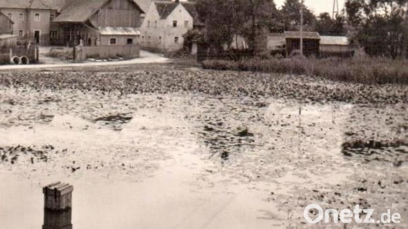 Bis in die 1960er-Jahre sah der Schnellweiher im vorderen Bereich wie auf dem Bild aus. Im Sommer war er von Sumpf- und Wasserpflanzen überzogen und von Schilf gesäumt. Eine unbefestigte Straße führte nach Axtheid. Links das Anwesen Burger (Wonger-Seppl) und in der Mitte das Wohnhaus Maul; rechts, wo die Scheunen stehen, befindet sich heute die Einfahrt zum Schulhausgelände. Archivbild: Stadt Vilseck/exb