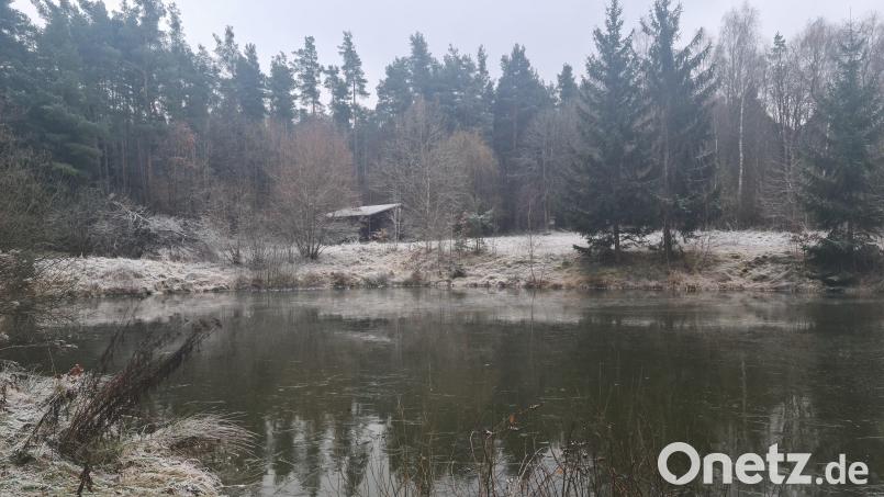 Die Bierlohweiher sind ein möglicher Standort für einen Waldkindergarten. Im Hintergrund ist die bekannte Fischerhütte. Bild: sne