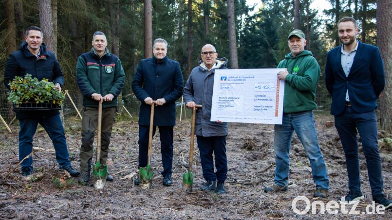 Günter Brenner, Vorstandschef von Novem; übergibt Walter Seltmann von der Waldjugend Eschenbach die Spende. Damit konnte ein Waldstück mit 3500 Bäumen wieder aufgeforstet werden. Mit im Bild (von links) Bürgermeister Marcus Gradl, Forstamtswart Martin Gottsche sowie Pierre Keller und Lukas Stopfer. Bild: exb