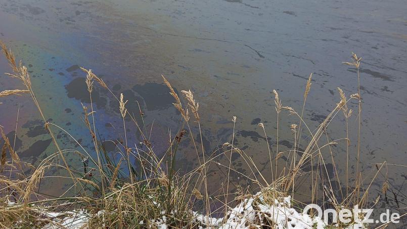 Wie ein Teppich legt sich das Öl auf den Hirsch-Weiher. Bild: jma