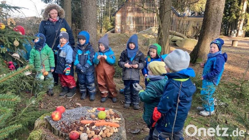 Die Mädchen und Jungen des Waldershofer Waldkindergartens bereiteten den Tieren ein leckeres Büfett. Bild: Waldkindergarten Fuchsbau/exb