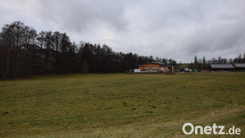Hinter der bestehenden Halle der Firma Holzbau Riedl soll eine weitere errichtet werden. Bild: fla