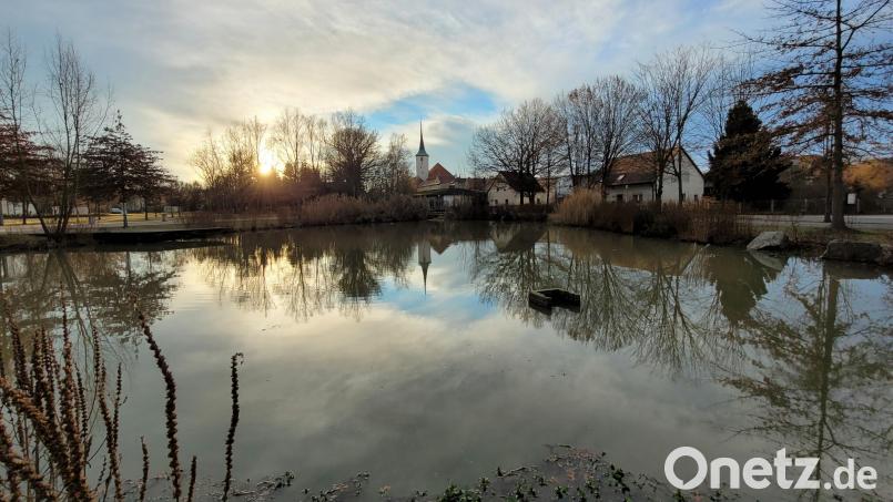 Hoffnungsfroher Lichtblick am Schnellweiher bei Vilseck Bild: rha