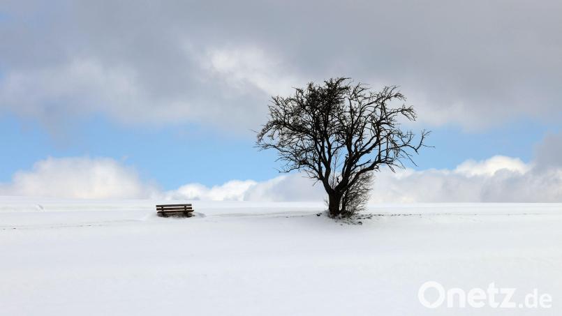 Eine Bank und ein Baum stehen in der mit Neuschnee bedeckten Landschaft in Bayern. Symbolbild: Karl-Josef Hildenbrand/dpa