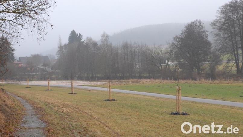 Im Frühjahr folgen weitere Ausgleichmaßnahmen. Unter anderem wird eine Feuchtwiese angelegt. Bild: pop