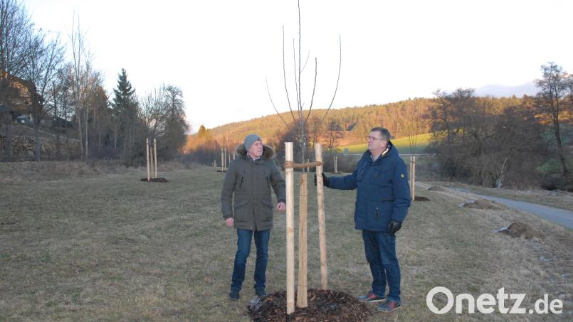 Die beiden Bürgermeister Peter Braun (rechts) und Mathias Huger inspizieren die neu gepflanzten Bäume auf der Streuobstwiese. Bild: pop
