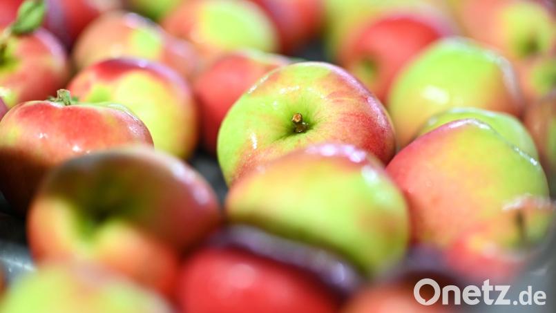 Eine Unbekannte wollte eine Sulzbach-Rosenbergerin nötigen, ein Stück Apfel zu probieren, um ihr minderwertiges Obst verkaufen zu können. Symbolbild: Felix Kästle/dpa