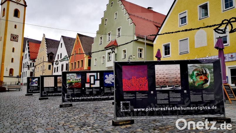 In Schwandorf haben die Ausstellung das Kulturamt und der Jugendtreff „K3“ mit dem Verein „Pictures for the Human Rights“ und der Amnesty International-Ortsgruppe Schwandorf organisiert. Sie ist bis 10. Januar zu sehen. Bild: Thomas Dobler