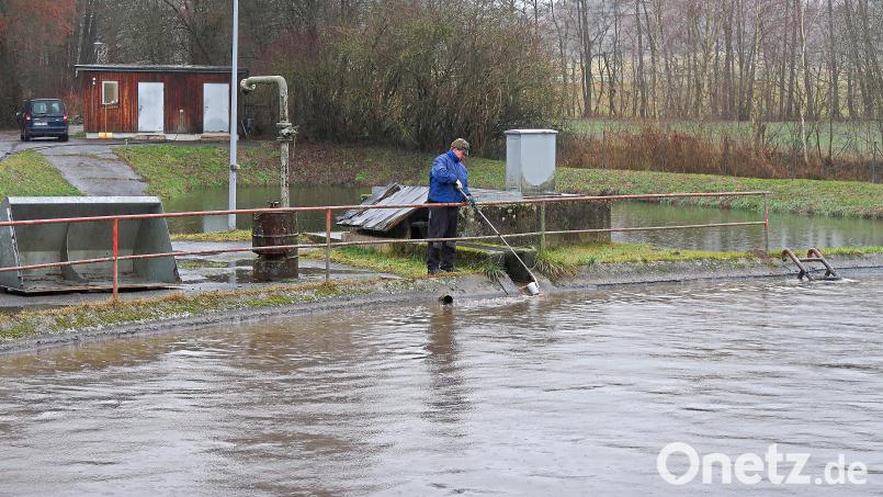 Die Kläranlage in Friedenfels (Bild) ist mittlerweile 50 Jahre alt. Die Gemeinderäte beschlossen am Dienstagabend einen neuen Abrechnungsmodus zum Bau der neuen Schilfkläranlage. Bild: bsc