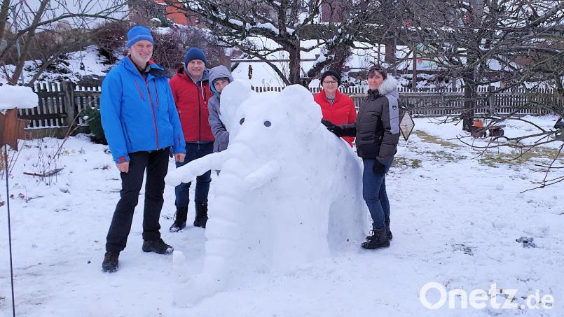 Ein gelungenes Exemplar aus Schnee: Das Mammut im Garten von Peter Horn. Bild: Wolfgang Weidner/exb
