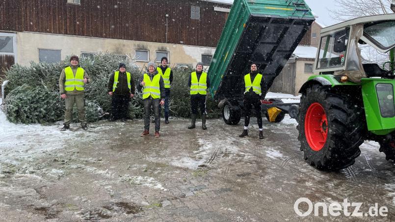 Florian Spörer, Christoph Deubzer, Ortsvorsitzender Maximilian Kastner, Philipp Schmelzer, Fabian Kastner und Maximilian Berek (von links) freuten sich über das Ergebnis der Sammelaktion. Bild: Junge Union Waldershof/exb