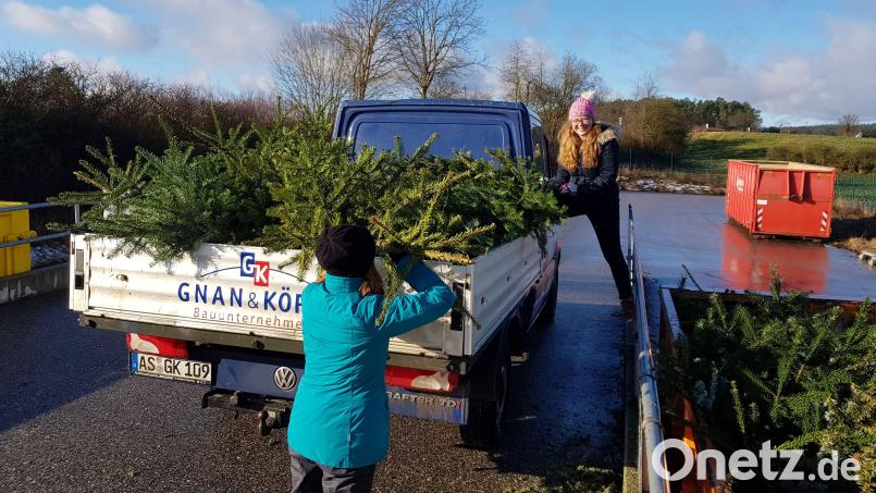 Auch die Mädels packen kräftig mit an: Beim Abladen der grünen Fracht am Wertstoffhof ist Teamwork gefragt. Bild: Tobias Gräf