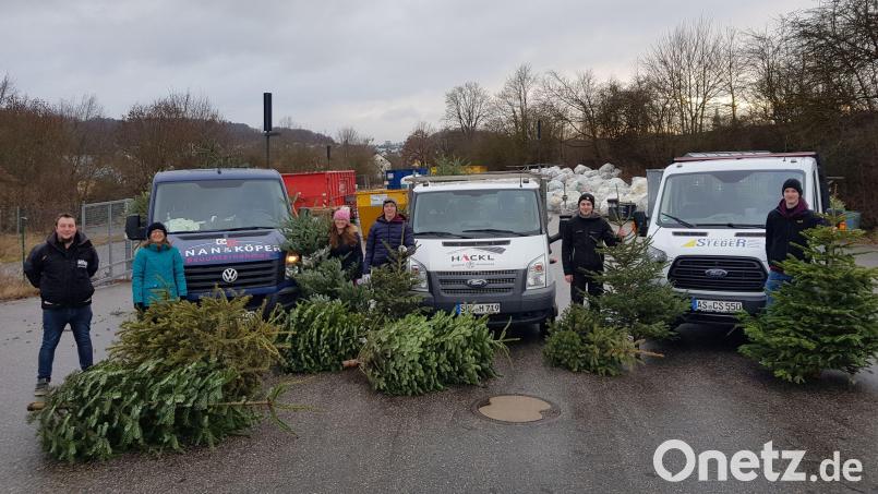 Über 100 Christbäume haben die Mädels und Jungs der Sulzbach-Rosenberger DPSG-Pfadfinder bei nasskaltem Wetter mit geliehenen Pritschenwagen gesammelt. Am Wertstoffhof hat die grünbraune Fracht eineinhalb Container gefüllt. Bild: Tobias Gräf