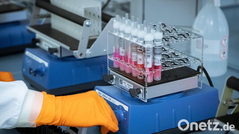 Coronatests bei der Auswertung: Auch im Landkreis Tirschenreuth steigen die Omikron-Verdachtsfälle. Symbolbild: Peter Steffen