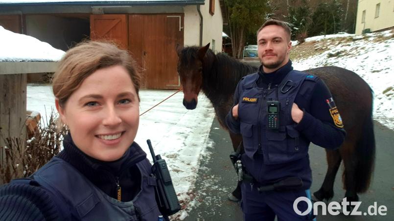 Auf "Pferdejagd" war die Polizei im Landkreis Wunsiedel. Bild: Polizei Marktredwitz/exb