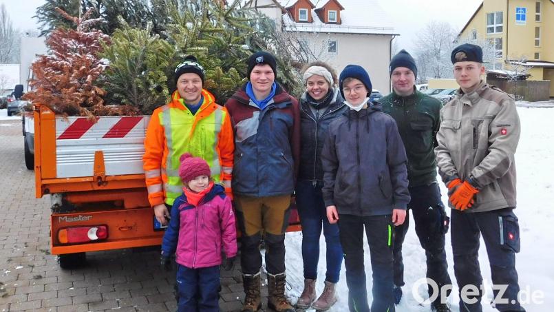 Am Ende hatten die Sammler vom Christlichen Verein Junger Menschen 254 ausgediente Christbäume auf die Fahrzeuge verladen. Bild: hai