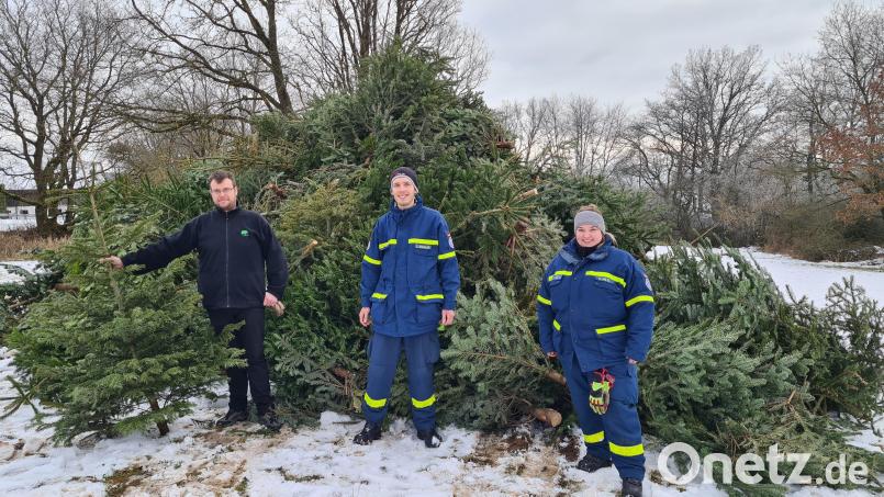 Rund 1000 Christbäume sammelten das Technische Hilfswerk und die Freien Wähler. Bild: THW Nabburg/exb