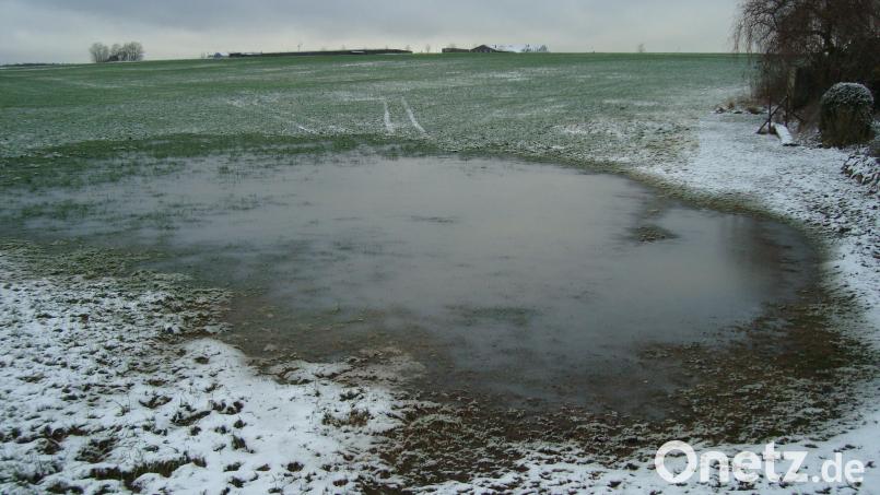 Zu Jahresbeginn nach den starken Regenfällen und dem anschließenden Frost bildete sich in der Senke der ehemaligen „Lipp&#039;n Hüll“ l wieder eine größere Wasserfläche. Bild: schß