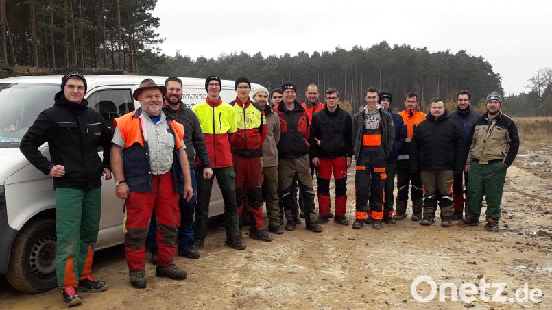 Die Teilnehmer lernten an zwei Tagen den richtigen Umgang mit der Motorsäge. Bild: Maschinenring Schwandorf