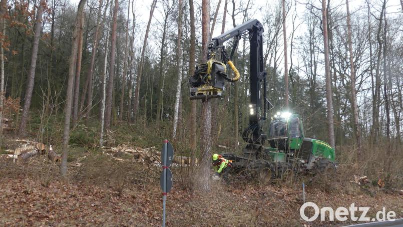 Händisch und maschinell wurden die schadhaften Bäume entlang der Schlammersdorfer Straße zügig entfernt. Bild: rn