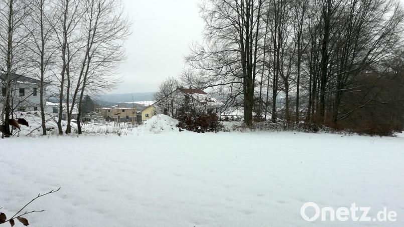 Die gemeindeeigene Wiese am nördlichen Leinberg in Schwend, unweit des geplanten Walderlebnispfades, könnte demnächst als Kinderspielplatz ausgewiesen werden. Bild: dir