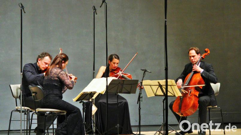 Das Varian Fry Quartett begeisterte in der Max-Reger-Halle Bild: stg
