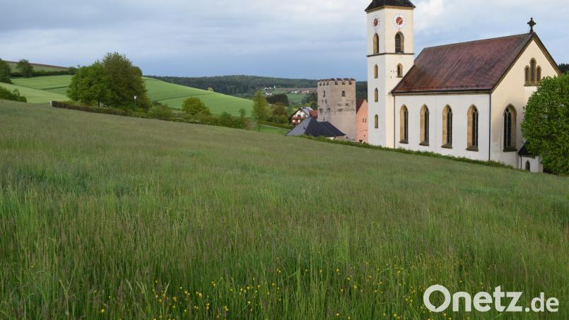 Das neue Baugebiet nördlich der Pfarrkirche in Trausnitz erhielt die Bezeichnung &quot;Sonnenhang&quot;. Bild: bnr