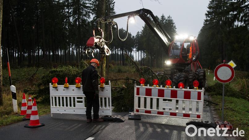 Wegen Baumfällarbeiten ist die B 299 am 27. Januar komplett gesperrt. Symbolbild: dpa/Swen Pförtner