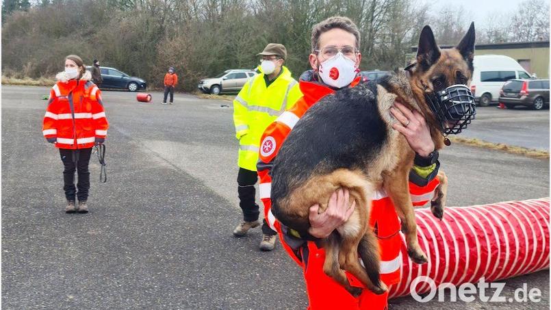Die Johanniter-Rettungshundestaffel organisierte einen Eignungstest für angehende Rettungshunde. 15 Vierbeiner bestanden. Bild: Konrad Kohler/Rettungshundestaffel /exb