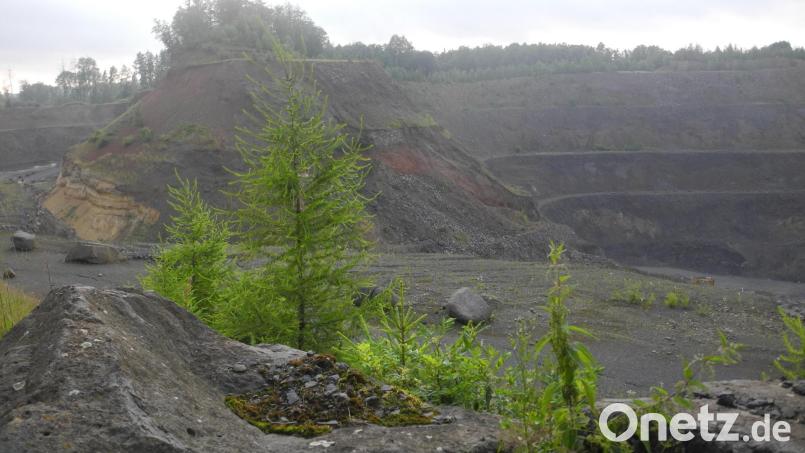 Nach dem Ende des Basaltabbaus am Hirschentanz (Bild) folgt das Aus für die Verwaltung der Hartsteinwerke Bayern-Mitteldeutschland in Steinmühle. Archivbild: as