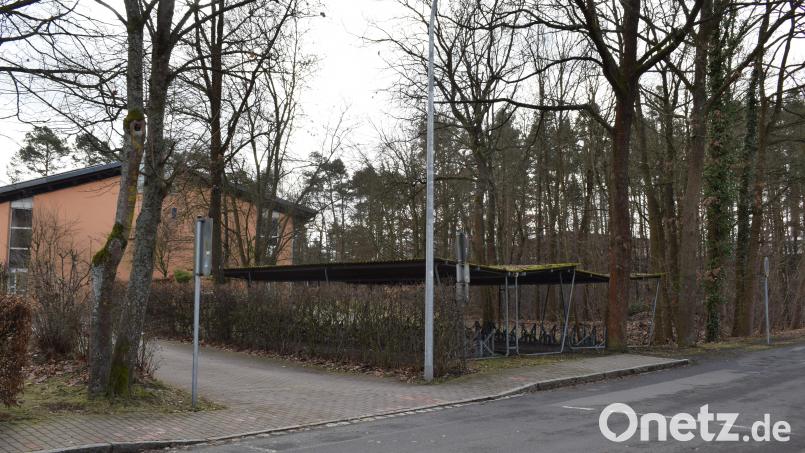 Neben der Mittelschule soll die neue Mehrfachsporthalle gebaut werden. Die Bäume fallen noch im März der Motorsäge zum Opfer. Bild: bnr