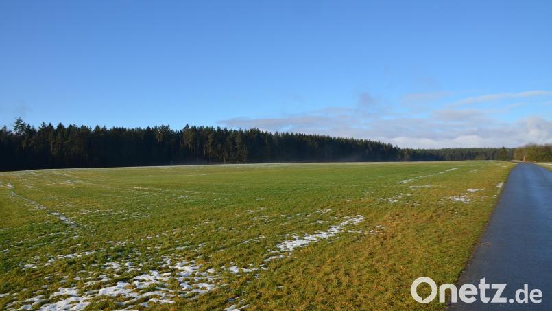 Im Waldgebiet Entenholz nordwestlich der Ortschaft Zeulenreuth (Bild) hat die Gemeinde 19,93 Hektar Wald aus der Auflösung des Rechtlerwaldes ohne weitere Nutzungsbeschränkungen erhalten Bild: ak