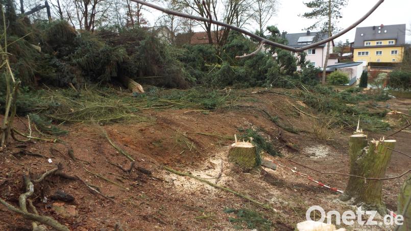 Ein Blick auf das Baufeld nach der Rodung des Wäldchens. Bild: e