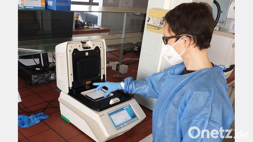 Im Waldsassener Labor von Bio-Variance wird seit kurzem auf die Omikron-Variante getestet. Archivbild: Bio-Variance/exb