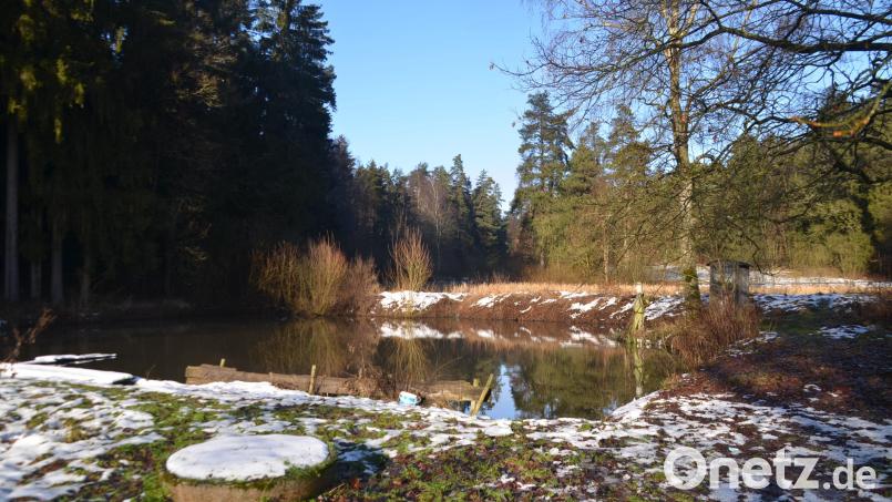 Das Kesselweihergebiet (Bild) steht im Eigentum der Gemeinde und soll künftig ökologisch aufgewertet und naturnah bewirtschaftet werden. Bild: ak