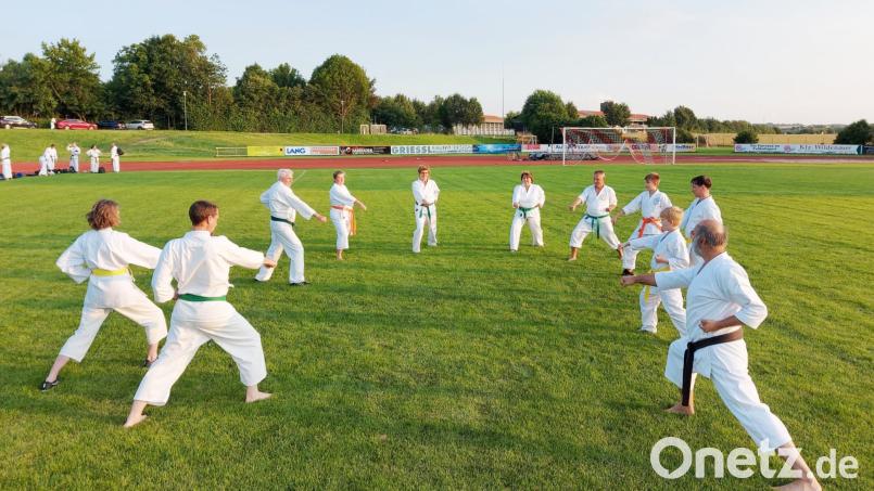 Seit nunmehr 32 Jahren betreiben Männer, Frauen und Kinder in Vohenstrauß den Karate-Sport unter dem Dach des Turnvereins. Archivbild: dob