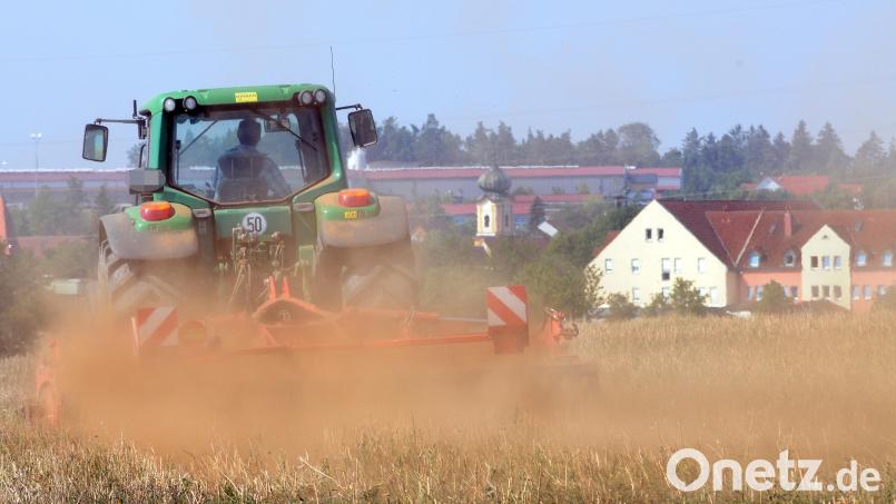 In Edelsfeld im Landkreis Amberg-Sulzbach fielen 2018 nicht einmal halb so viel Niederschläge wie im langjährigen Mittel. Das hat sich im Jahr 2021 für den Landkreis wieder gebessert. In der Stadt Amberg geht die Dürre allerdings immer noch bis in die tiefen Bodenschichten hinein. Archivbild: Stephan Huber
