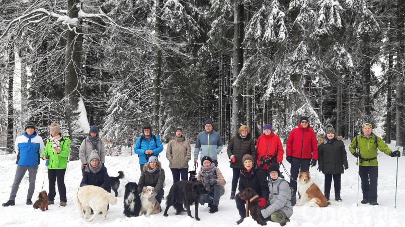 „Tierische Spaziergänge“ wie die Wanderung mit Hunden in Mehlmeisel sind immer etwas Besonderes. Bild: gis