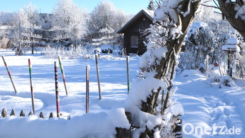 Der Kreislehrgarten an der Vohenstraußer Straße präsentiert sich im Winterkleid. Bild: le