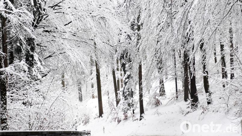 Laut Wetterexperte Andy Neumaier ist am Wochenende Schnee möglich. Bild: Gabi Schönberger