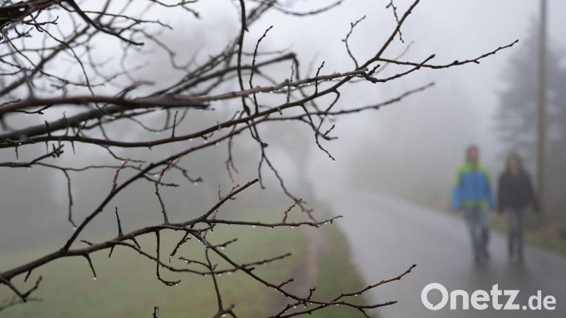 Zwei Spaziergänger gehen bei Regen auf einer Straße entlang. Foto: Bernd Thissen/dpa/Symbolbild Bild: Bernd Thissen
