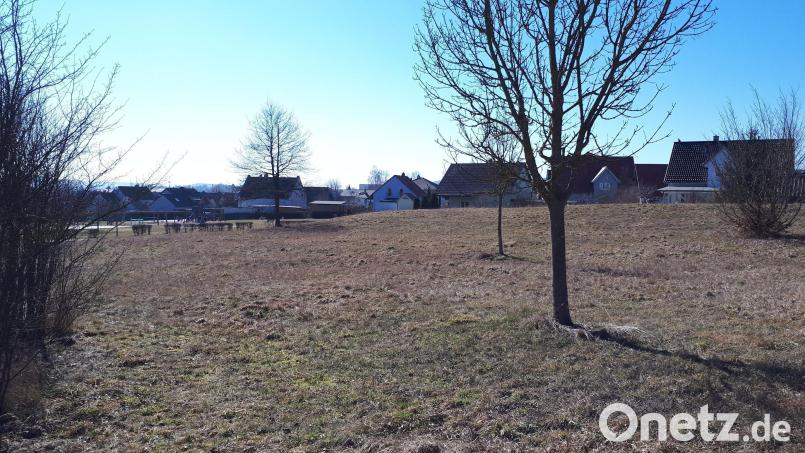Der Bau des dritten Kinderhauses in Waldsassen am Ziegerrang (Bild) ist eine der beiden Pflichtaufgaben, für die die Stadt Waldsassen Stabilisierungshilfen beantragt hat. Nach der Bewilligung nur gut eines Drittels der beantragten Summe müsste die Stadt den Eigenanteil über Kredite finanzieren. Diese schließen dann aber eine künftige Unterstützung durch die Staatsregierung aus. Archivbild: pz