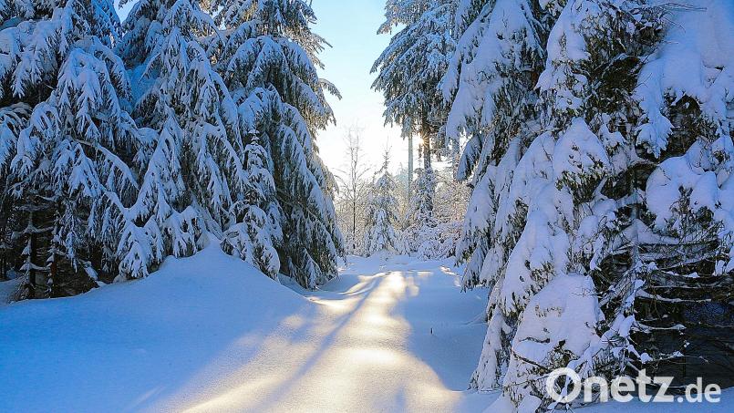 Winter-Wunderland Steinwald. Von der Erhöhung des Mitgliedsbeitrags ist auch die Gemeinde Brand betroffen. Symbolbild: bsc