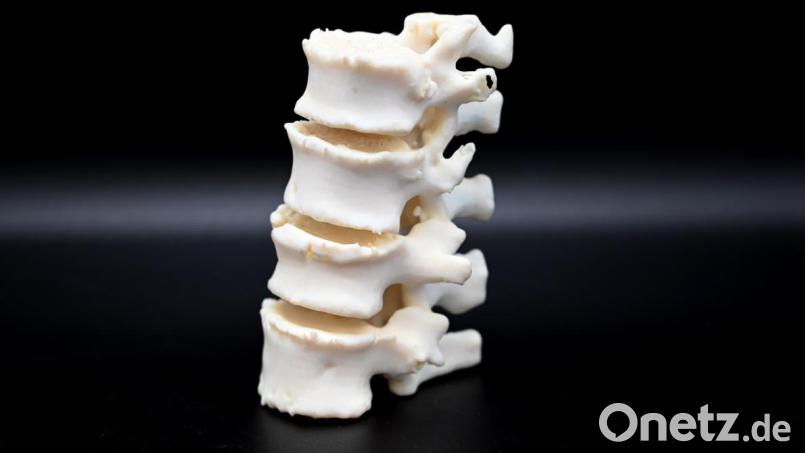 Bei BAM entstehen im 3D-Drucker medizinische Modelle Bild: cf